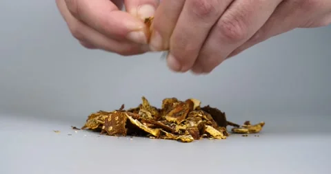 Hand crush dried chopped fly agaric for shaman broth, Amanita muscaria legal use Stock Footage 220468099
