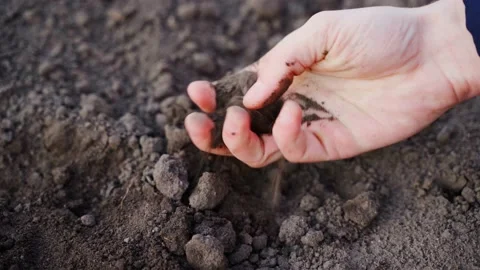 A hand crushes the lumpy soil close-up. Analysis of the consistency and Stock Footage 200894996