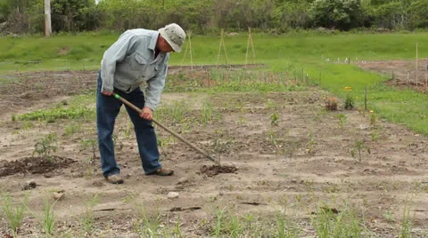 Hand cultivator Stock Footage 24718634