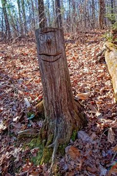 Hand cut face on a tree Stock Photos