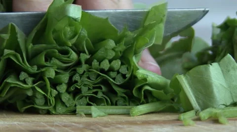 Hand cut lettuce leaves Stock Footage 54930883
