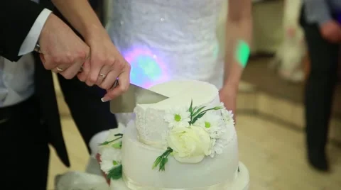 Hand cut the wedding cake brides Stock Footage 56842515