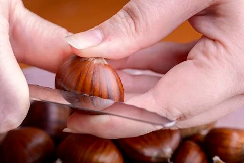 Hand cutting a chestnut Stock-Fotos