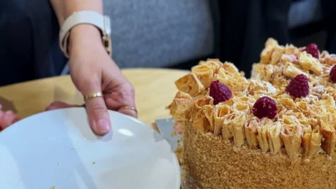 Hand Cutting Slice Of Layered Raspberry Cake Stock Footage 341373892