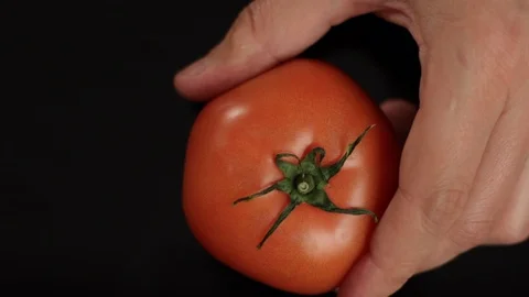 A Hand Cutting a Tomato with a Knife  Stock Footage 86131305