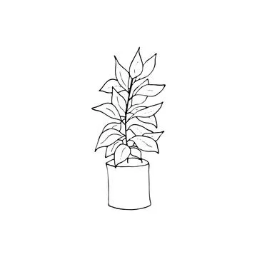 Hand-darwn plant Stock Illustration