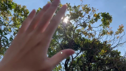 Hand dazzled by scorching sun light under a tree, under a sunny sky Vídeos de archivo 287584385