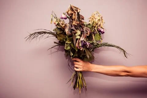 Hand with dead flowers 스톡 사진