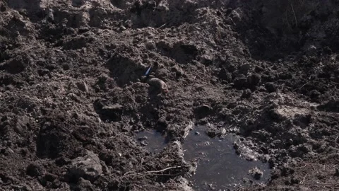 The hand of a dead Russian soldier Stock Footage 201340129