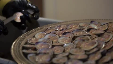 Hand Delicately Arranges Shells Carefully, Meticulous Process Of Preparing Stock Footage 323772878
