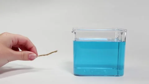 Hand Demonstrating Object Floating in Water Video stock 308499225