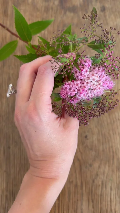Hand with diamond ring holding fresh pink flower in soft light 스톡 동영상 314889584