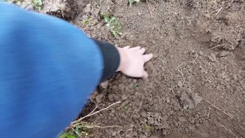 Hand digging in soil and finding an old ceramic shard Vídeos de archivo 333777692