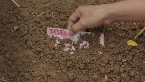 Hand digging into soil discovering Indonesian Rupiah, conceptual image of b.. Stock Footage 318628004