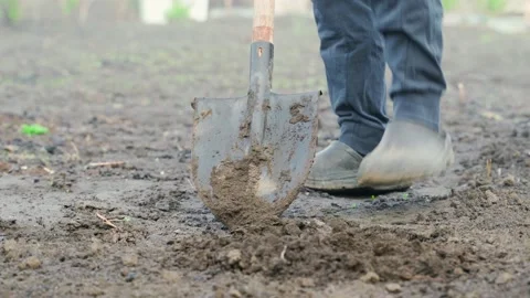 Hand digging the soil with a shovel close-up Stock Footage 199438203