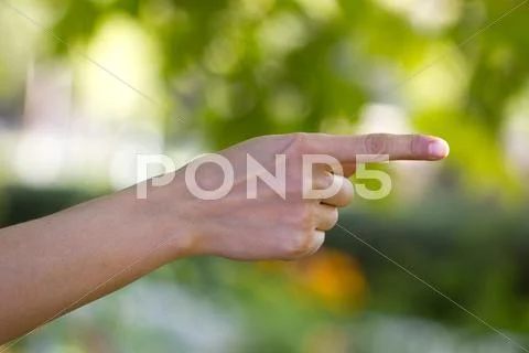 Hand direction against nature Stock Photos