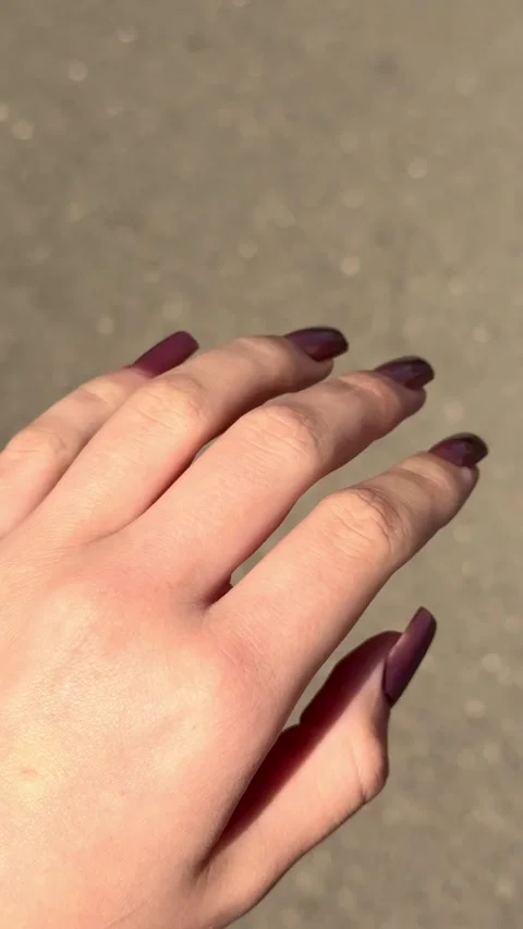 Hand displaying long square shaped gel nail, featuring a glossy deep plum Stock Footage 333453076
