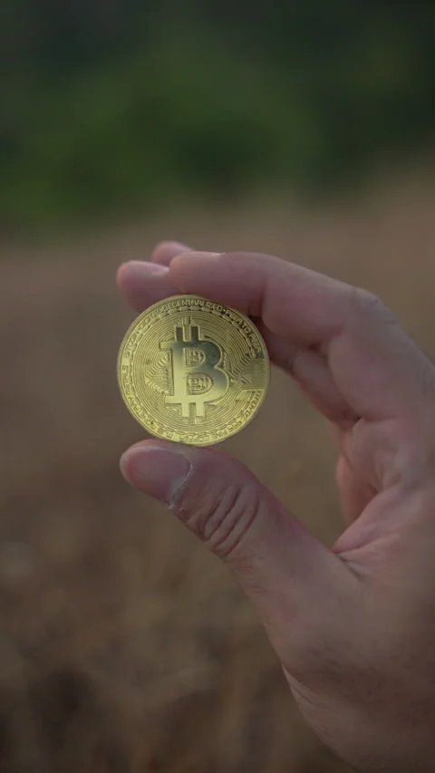 A hand displaying a physical Bitcoin coin in a natural outdoor Stock Footage 341324101