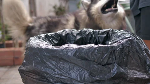 Hand Disposing Plastic Bottle into Trash Bin for Waste Sorting and Recycling Stock Footage 341844065
