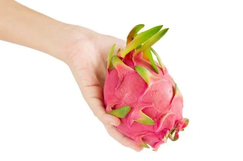Hand with dragon fruit Stock Photos
