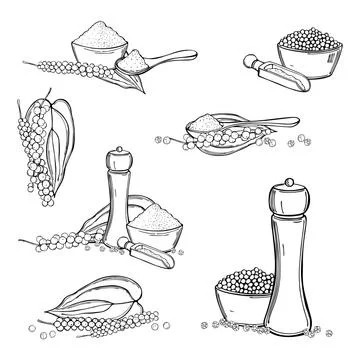 Hand draw Black pepper. Vector sketch  illustration. イラスト素材
