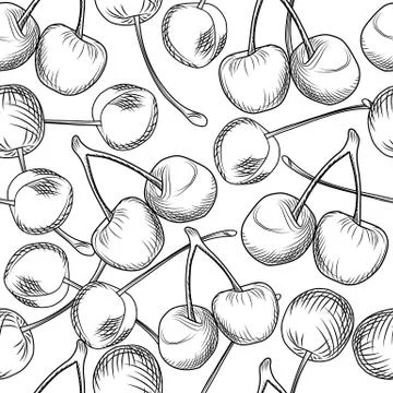 Hand draw cherries seamless pattern on a white background. Engraving style. Illustrazione stock