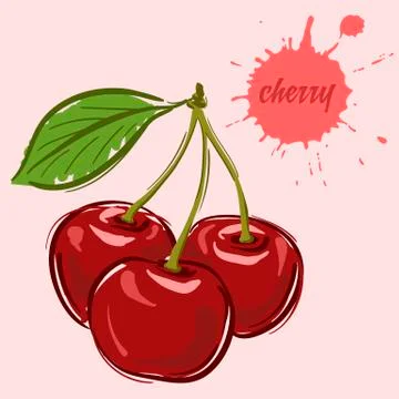 Hand draw of cherry Stock Illustration