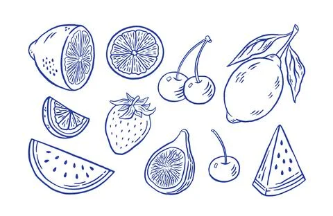 Hand draw farmer fruit vector illustration. Doodle watermelon, strawberry, .. Illustrazione stock