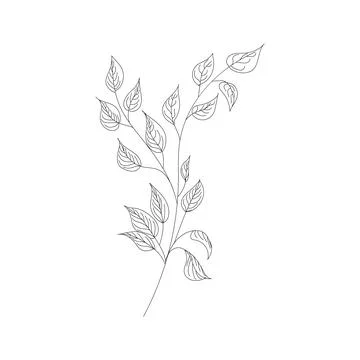 Hand draw leaves vector, Line drawn leaves illustration. 스톡 일러스트