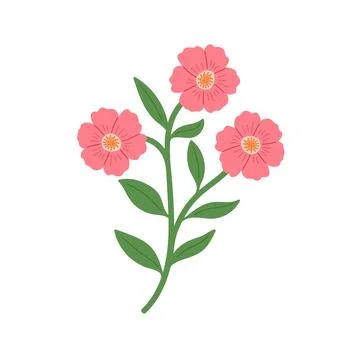 Hand draw mallow vector illustration. Spring yellow flower Stock Illustration
