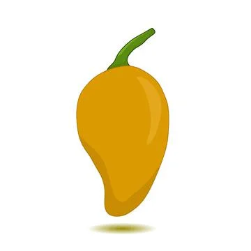Hand draw mango Stock Illustration