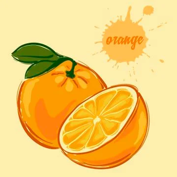Hand draw of orange Stock Illustration