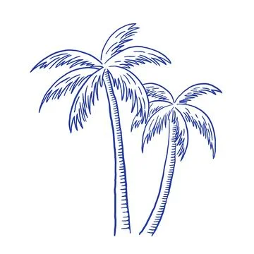 Hand draw palm tree vector illustration. Summer beach vacation clipart in s.. Stock Illustration
