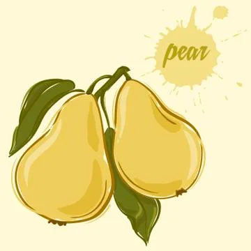 Hand draw of pear Stock Illustration