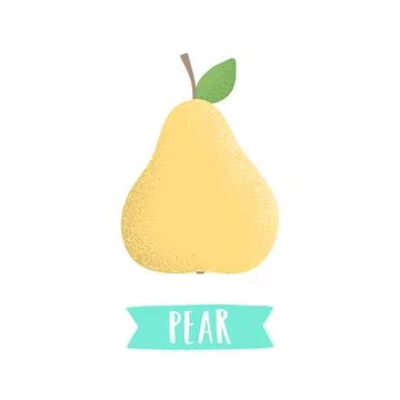 Hand draw pear isolated on white. Stock Illustration