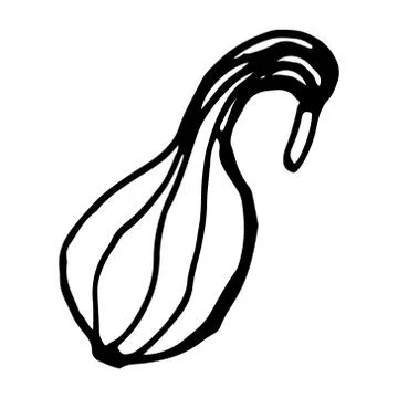 Hand draw pumpkin. Stock Illustration