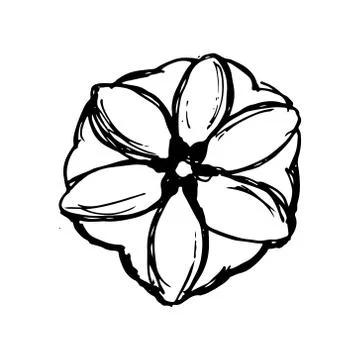 Hand draw pumpkin. Stock Illustration