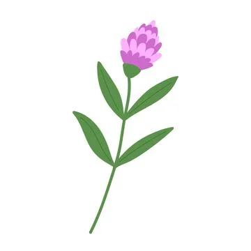 Hand draw rustic flower vector illustration. Illustrazione stock