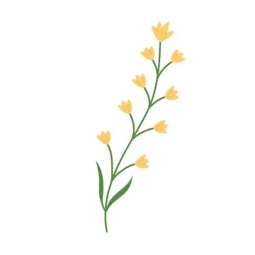 Hand draw rustic yellow wild flower vector illustration. Stock-Illustration