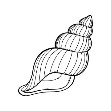 Hand draw sketch sea shell-2 Stock Illustration
