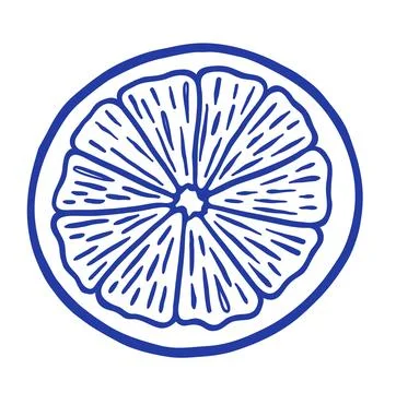 Hand draw sliced lemon vector illustration. Doodle citrus fruit on white ba.. Stock Illustration