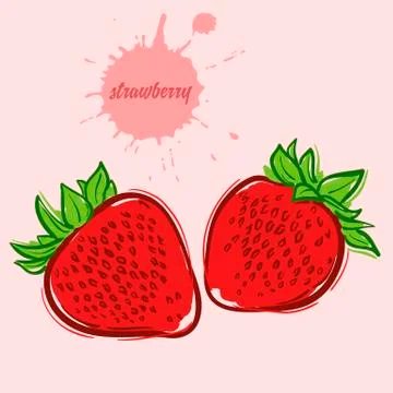 Hand draw of strawberry Stock Illustration