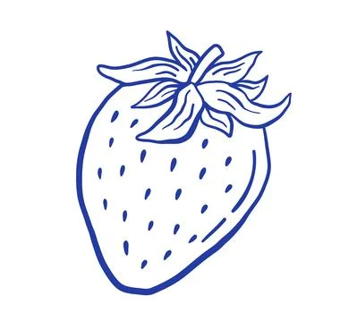 Hand draw strawberry vector illustration. Berry in doodle style. Stock Illustration