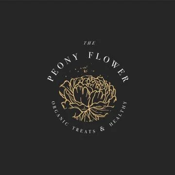 Hand draw vector peony flowers logo illustration. Floral wreath. Botanical Stock Illustration