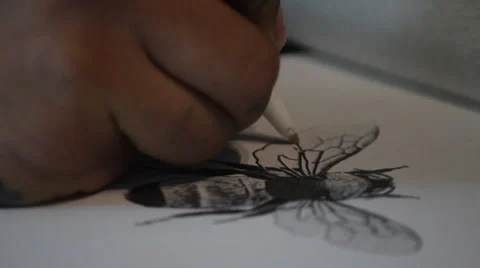 Hand drawing bee Stock Footage 28295512