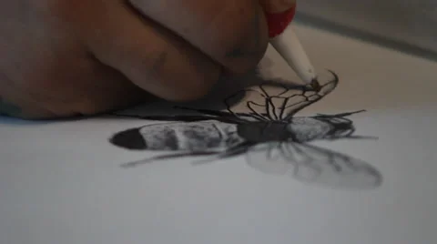 Hand drawing bee Stock Footage 28299044