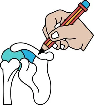 A hand is drawing a bone with a pencil 스톡 일러스트