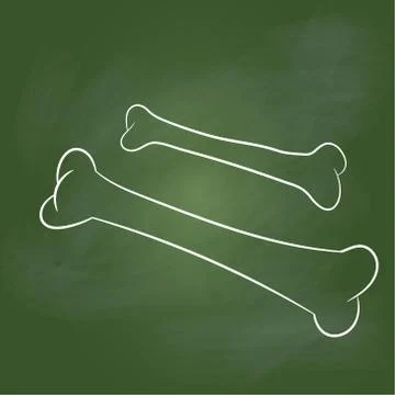 Hand drawing Bones on Green board -Vector illustration Stock Illustration