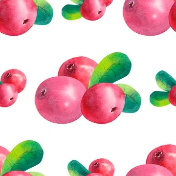Hand-drawing botanical seamless pattern with cowberry with leaves. Watercolor Stock Illustration