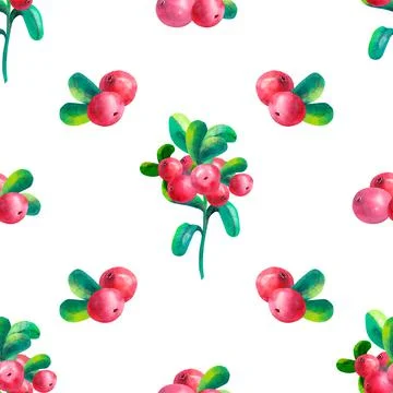 Hand-drawing botanical seamless pattern with cowberry with leaves. Watercolor Stock Illustration